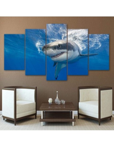 Tableau Requin basket pas cher