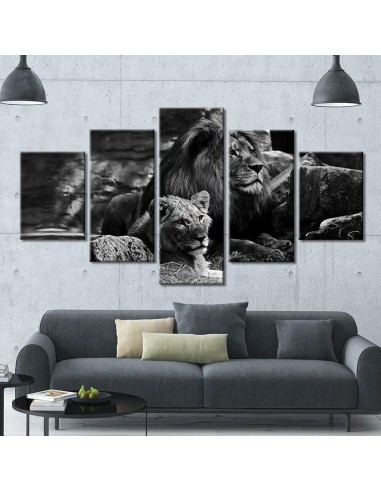 Tableau Couple de lions Découvrez la collection