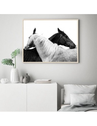 Tableau cheval noir et blanc Economisez 